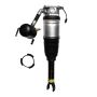 FCS Struts 99008 Electronic Air Suspension Strut Assembly