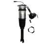 FCS Struts 99009 Electronic Air Suspension Strut Assembly