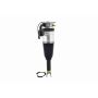 FCS Struts 99017 Electronic Air Suspension Strut Assembly