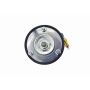 FCS Struts 99019 Air Suspension Strut Assembly