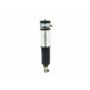 FCS Struts 99019 Air Suspension Strut Assembly