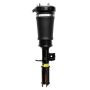 FCS Struts 99024 Air Suspension Strut Assembly