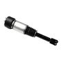 FCS Struts 99035 Electronic Air Suspension Strut Assembly