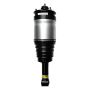 FCS Struts 99039 Air Suspension Strut Assembly