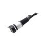 FCS Struts 99048 Electronic Air Suspension Strut Assembly