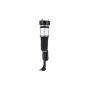 FCS Struts 99049 Electronic Air Suspension Strut Assembly