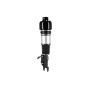 FCS Struts 99050 Electronic Air Suspension Strut Assembly
