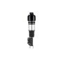 FCS Struts 99050 Electronic Air Suspension Strut Assembly