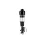 FCS Struts 99051 Electronic Air Suspension Strut Assembly