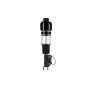 FCS Struts 99051 Electronic Air Suspension Strut Assembly