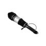 FCS Struts 99051 Electronic Air Suspension Strut Assembly