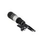 FCS Struts 99053 Electronic Air Suspension Strut Assembly