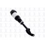 FCS Struts 99060 Non-Electronic Air Suspension Strut Assembly