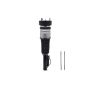 FCS Struts 99069 Electronic Air Suspension Strut Assembly