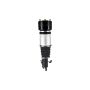 FCS Struts 99071 Electronic Air Suspension Strut Assembly