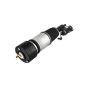 FCS Struts 99071 Electronic Air Suspension Strut Assembly