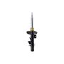 FCS Struts 99081 Magnetic Suspension Strut Assembly