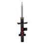 FCS Struts 99082 Magnetic Suspension Strut Assembly