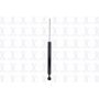 FCS Struts DT341979 Shock Absorber