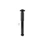 FCS Struts DT342939 Shock Absorber