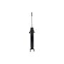 FCS Struts DT345594 Suspension Strut