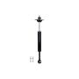 FCS Struts DT346217 Shock Absorber