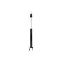FCS Struts DT346852 Shock Absorber