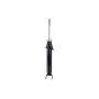 FCS Struts DT355074 Suspension Strut