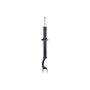 FCS Struts DT355174L Suspension Strut