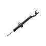 FCS Struts DT355174L Suspension Strut