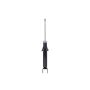 FCS Struts DT355183 Suspension Strut