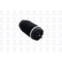 FCS Struts Q4020 Air Suspension Spring