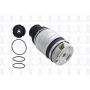 FCS Struts Q9011 Air Suspension Spring