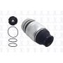 FCS Struts Q9011 Air Suspension Spring