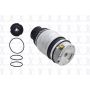 FCS Struts Q9012 Air Suspension Spring