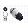 FCS Struts Q9012 Air Suspension Spring