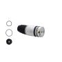 FCS Struts Q9013 Air Suspension Spring