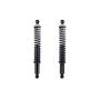 FCS Struts SC00002 Shock Absorber and Coil Spring Assembly