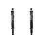 FCS Struts SC00006 Shock Absorber and Coil Spring Assembly