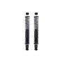 FCS Struts SC00008 Shock Absorber and Coil Spring Assembly