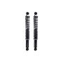 FCS Struts SC00009 Shock Absorber and Coil Spring Assembly