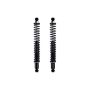 FCS Struts SC00010 Shock Absorber and Coil Spring Assembly