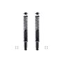 FCS Struts SC00011 Shock Absorber and Coil Spring Assembly