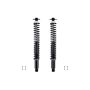 FCS Struts SC00011 Shock Absorber and Coil Spring Assembly