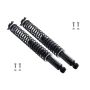 FCS Struts SC00011 Shock Absorber and Coil Spring Assembly