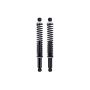 FCS Struts SC00015 Shock Absorber and Coil Spring Assembly