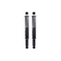 FCS Struts SC00015 Shock Absorber and Coil Spring Assembly