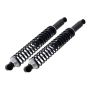 FCS Struts SC00015 Shock Absorber and Coil Spring Assembly