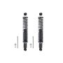 FCS Struts SC00019 Shock Absorber and Coil Spring Assembly