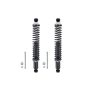 FCS Struts SC00019 Shock Absorber and Coil Spring Assembly